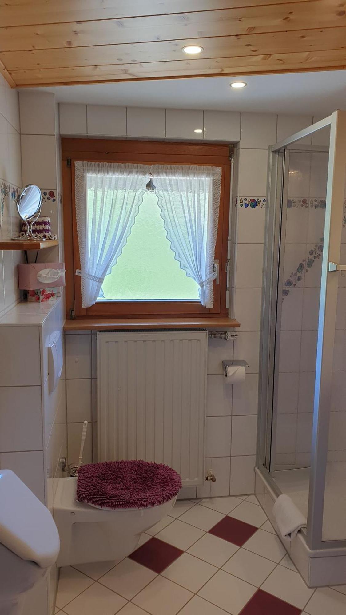 شقة Haus Am Kreuzbuehl Dachsberg im Schwarzwald المظهر الخارجي الصورة