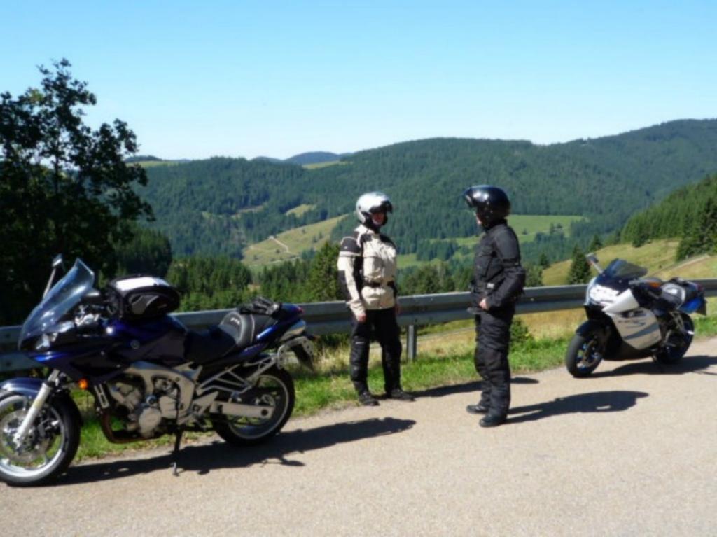 شقة Haus Am Kreuzbuehl Dachsberg im Schwarzwald المظهر الخارجي الصورة