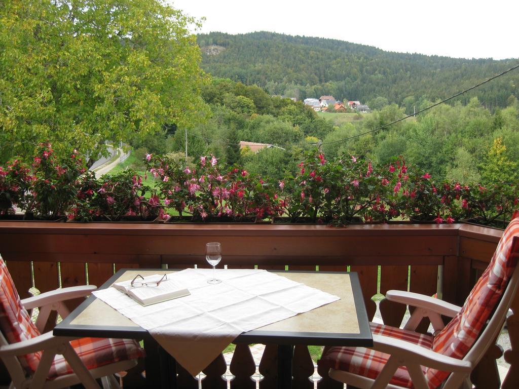 شقة Haus Am Kreuzbuehl Dachsberg im Schwarzwald المظهر الخارجي الصورة