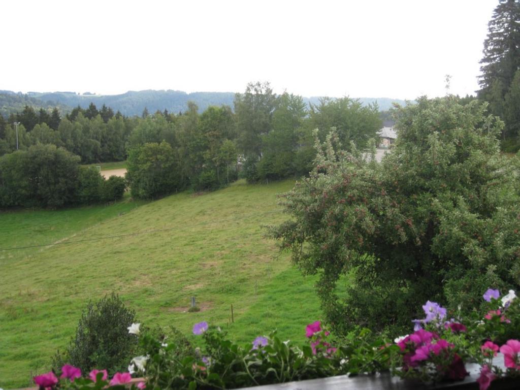 شقة Haus Am Kreuzbuehl Dachsberg im Schwarzwald المظهر الخارجي الصورة
