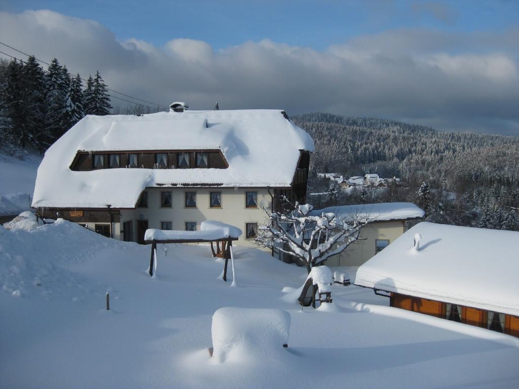 شقة Haus Am Kreuzbuehl Dachsberg im Schwarzwald المظهر الخارجي الصورة