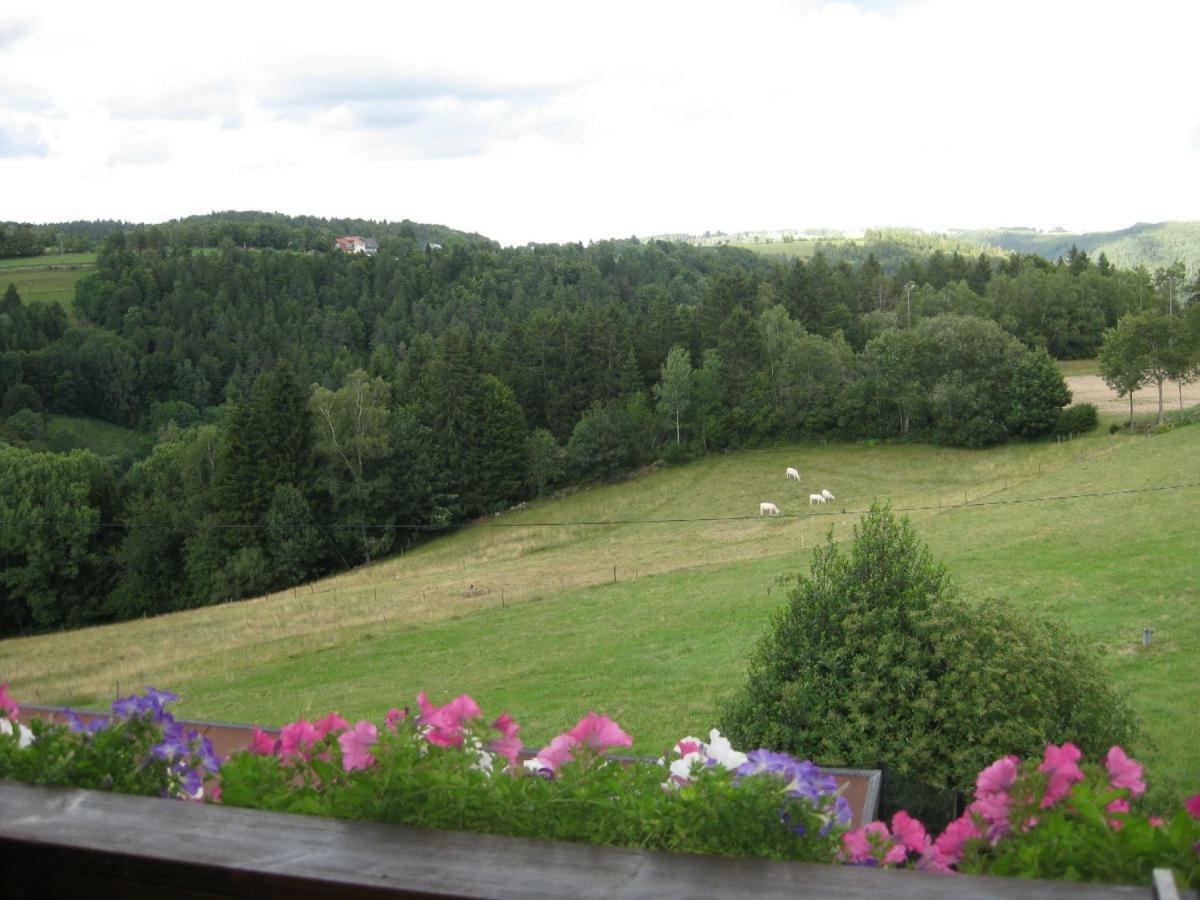 شقة Haus Am Kreuzbuehl Dachsberg im Schwarzwald المظهر الخارجي الصورة