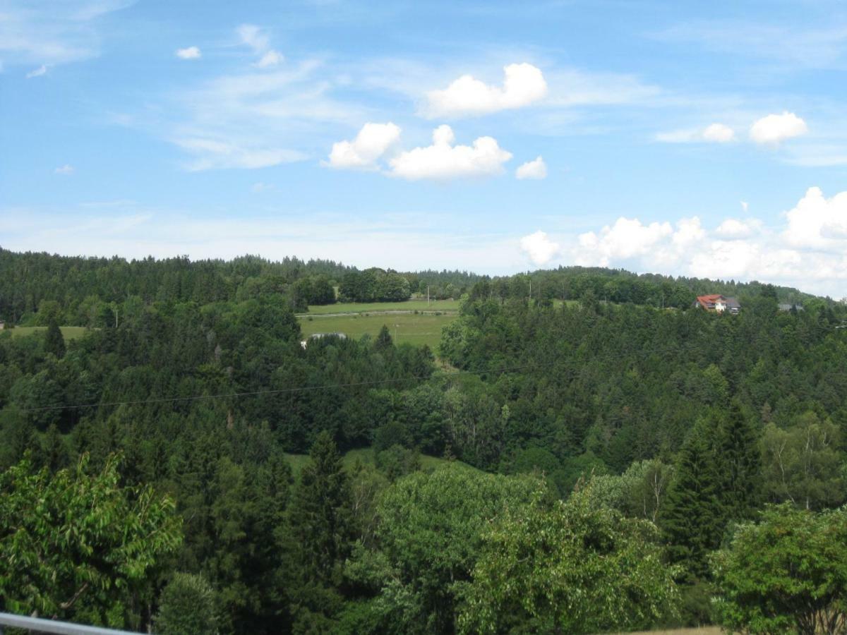 شقة Haus Am Kreuzbuehl Dachsberg im Schwarzwald المظهر الخارجي الصورة